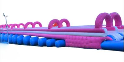 Китай Funny Colorful Water Slide Commercial Customized Large Hippo Inflatable Water Slide With Pool For Sale продается