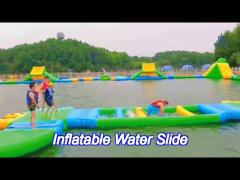 funny colorful water slide commercial customized large hippo inflatable water slide with pool for sa