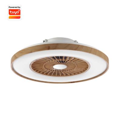 China China Modern Professional Manufacture Fan Lamp Home Decor Ceiling Fan With Smart LED Light Control for sale