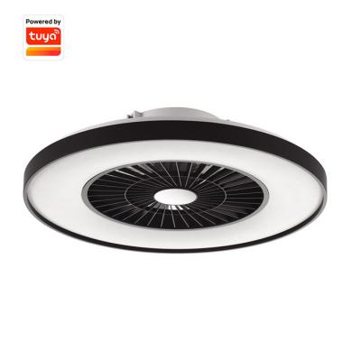 China Modern New Product High Quality Black Paint Led TuYa Control Residential Smart Ceiling Fan With Lights for sale