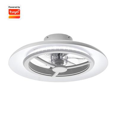 China Mid Century Smart Ceiling Fan With Light With Dimmable Light Tuya Google Home Remote Control for sale