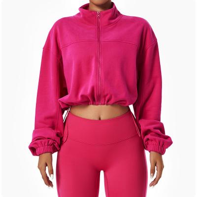 China QUICK DRY 2024 Custom Color Sweatshirt Long Sleeve Fleece Zip Updrawstring Plain Cotton Pink Dropshoulder Crop Top Pullover For Women for sale