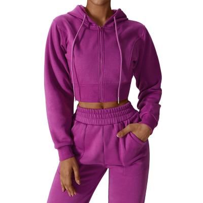 China QUICK DRY Hot Sales Women Cotton Sweatshirts Sports Slim Zipper Hooded Shirts Top Hoodies Long Sleeve Yoga Purple Tops Jacket for sale