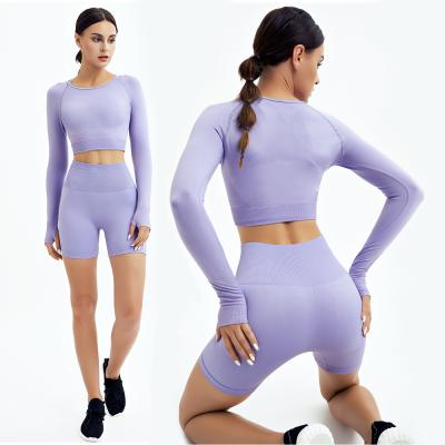 China 2021 Custom Sports Ladies High Waist Workout Fitness Shorts Breathable Women Long New 2 Piece Yoga Sets for sale