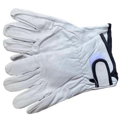 China Anti-cut Factory Sale Widely Used Driver Safety Various Safety Leather Gardening Gloves Working Gloves for sale