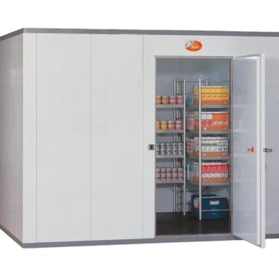 China Customized large capacity cold storage room vegetable fruits cooler meat seafood frozen storage room for sale