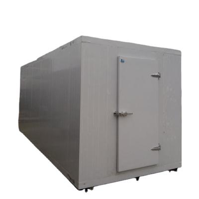 Cina Customized Easy disassembly cold rooms and freezers for fish and meat cool room in vendita