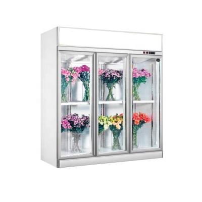 China flower refrigerator  Display Cabinet Flower Fresh Keeping Showcase 3 DOORS for sale