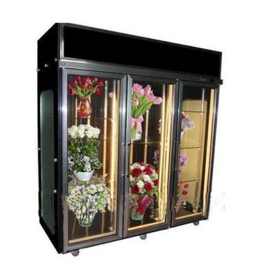 China New Product Flower Refrigerator Display Cabinet Flower fridge for Flower Shop Te koop