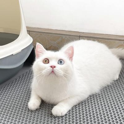 China Wholesale Pet Stored Cat Floor Mat Waterproof Washable EVA Cat Litter Mat 30cm*30cm for sale