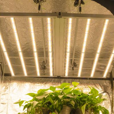 China Seed Starting Factory Supply Greenhouse High PPFD LED Grow Light With Button for sale