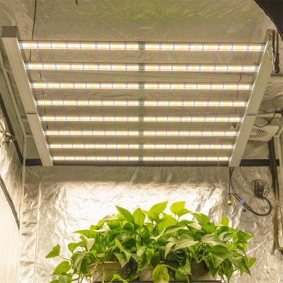 China Seed Starting High Efficiency Horticulture Full Spectrum LED For Growing Light for sale