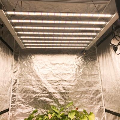 China Seed Starting High Efficiency Sunritek 720W Led Grow Light Led Horticulture Light Wide Coverage Dimmable for sale