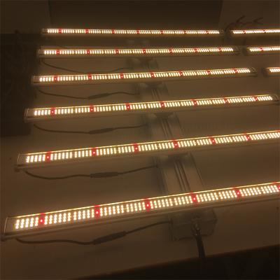 China Seed Starting Wholesale Grow Lights 670W Fluence Spydr Bar 8 Led Grow Light Sulight lm301h For Growing Light Led Indoor Plants for sale