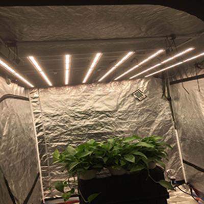 China Knob Dimming Commercial 1000w led grow light VS hps grow light 1000w for sale