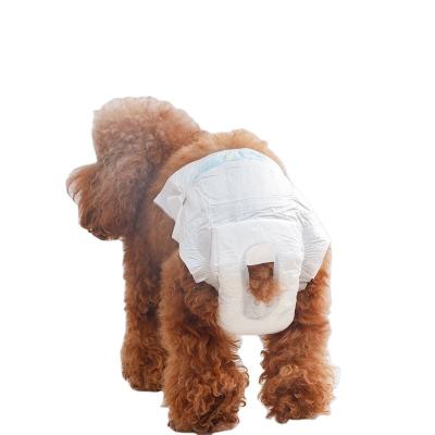 China Pakeway Stocked Pet Diaper - Male - Male Small Dog 12pcs/pack Diaper Pet Supplies for sale