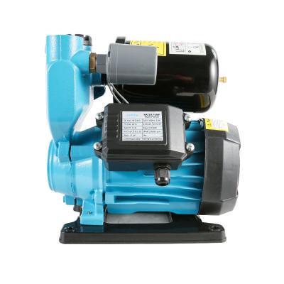 China Factory sales supply of 550W family homes a large number of water pumps boxed motor pumps, self-priming pump for sale