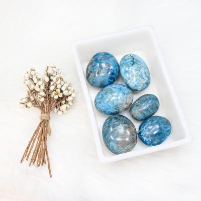 China Europe In Stock Wholesale Natural Crystal Gemstone Quartz Apatite Palmstones Blue Palm For Home Decoration for sale