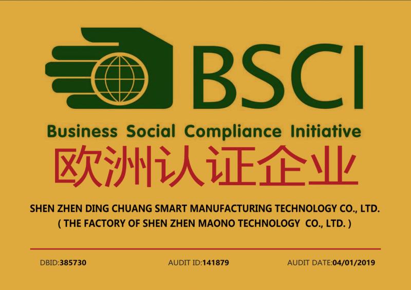 BSCI - Shenzhen Dingchuang Smart Manufacturing Company Limited