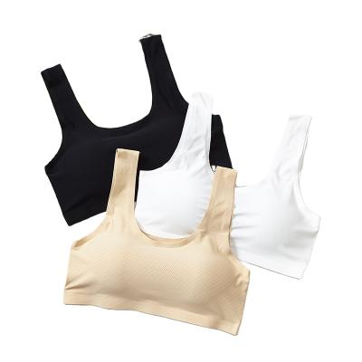 China Women One Piece Warm Breathable Seamless Silk Tube Camisole Ice Yoga Sleep Bra Camisole Crop Top Padded Top for sale