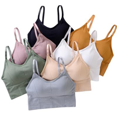 China Hot Popular Seamless Streetwear Bralettes Sleeveless Girls Sports Yoga Crop Vest Top Lift Up Wire Free Seamless Women Bra for sale