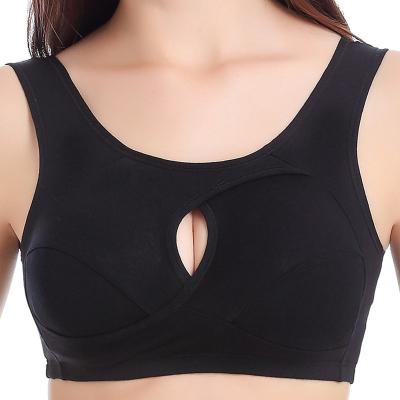 China Latest Breathable Hot Selling Bra Designs Women Sports Bra Full Cup Sports Bra Seamless Crop Tops for sale