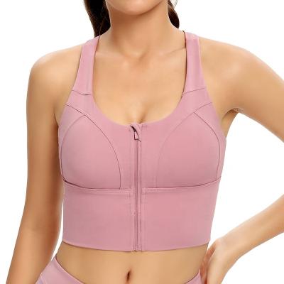 China Plus Size 2XL Girl Breathable Zipper Fits Sports Bra Fitness Yoga Tops for sale