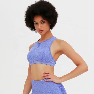 China New Seamless Mesh Yoga Fitness Wear Sportswear Antibacterial Knitted Quilting Top for sale