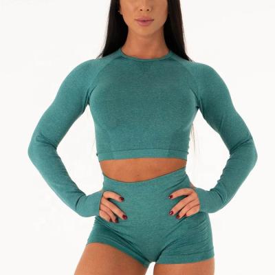 China Antibacterial Custom Seamless Long Sleeve Crop For Womens Crop Tops And Shorts for sale