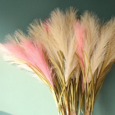 China Touch Nature Wedding Reed Flower White Artificial Faux Dry Pampas Grass Real Touch Home Decoration Hot Sale for sale