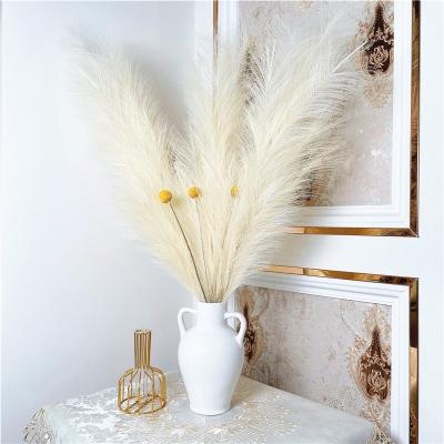 China Real Touch Real Nature Tall 45cm Flower 1.5m 100cm Wedding Prundo Decorative Dry Fluffy Phragmites Thatch Dry Flowers Natural Pampas Grass for sale