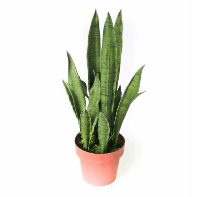 China Hot Sale Artificial Green Garden Faked Sansevieria Trifasciata Prain Tiger Orchid Artificial Snake Plant Bonsai for Home and Hotel Decoration for sale