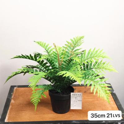 China Hot Sale Fern Leaf Artificial Ferns With Plastic Fern Leaf Potted Artificial Green Garden For Hotel Decoration for sale