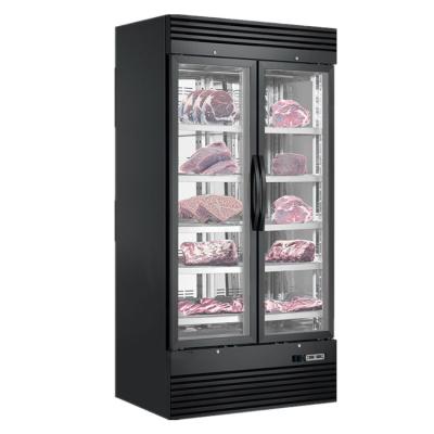 China New Design Single-Temperature Double Glass Doors Meat Dry Ager Beef Steak for sale