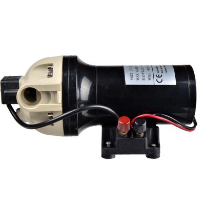 China Professional Industrial Utilities DC Adblue DEF Gasoline Pump Fuel Dispenser System China CE Diaphragm PUMP Diesel Electric OEM ODM ROHS for sale