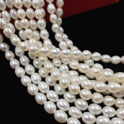 China Pearl 7-8mm Freshwater White Natural White Freshwater Pearl Loose For Freshwater Pearl Jewelry for sale