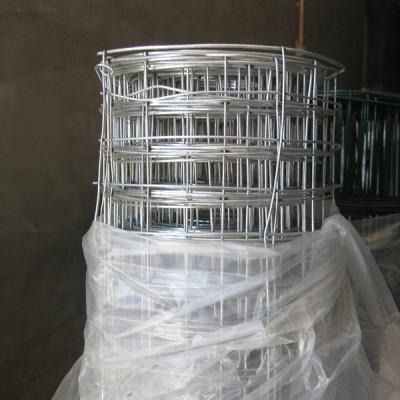 China Hot Galvanized Plain Weave Standard Welded Wire Mesh-1/1.2*15m*1