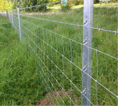 China Galvanized Plain Weave Farm Horse Goat Hinge Joint Steel Fence Mesh Rolls for sale