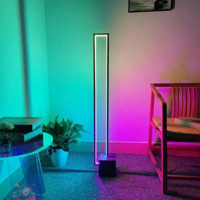 China 2021 New Style Minimalist Modern Nordic Atmosphere Smart RGB Colorful Floor Lamp With Remote Control for sale