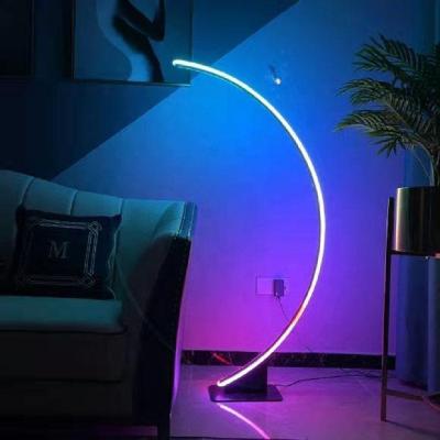 China Modern LED Corner Floor Lamp With Touch Remote Control Multi Color Light RGB Changing Light For Living Room for sale