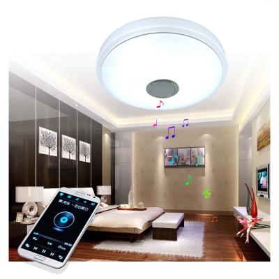 China Minimalist RGB Smart Light Flush Ceiling Lamp Dimmable Smart Home Decoration Mount Ceiling Light for sale