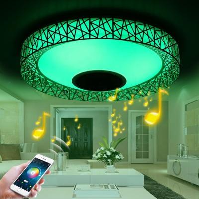 China RGB LED Ceiling Lights 40CM 50CM APP Music Light Bedroom Lamp Smart Modern Minimalist Ceiling Lamp Remote Control for sale