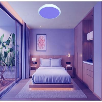 China Minimalist Smart Music Control Led RGB Ceiling Mount Outdoor Panel Lamp For Bedroom Lighting for sale