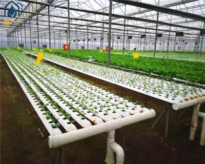 China Sistema de cultivo hidropónico de lechuga agrícola NFT Sistema hidropónico vertical en venta