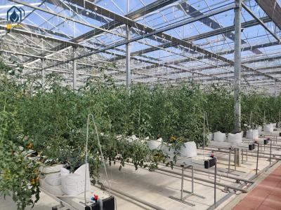 China Groentehuisstaal substraat planten goot Landbouw hydroponisch systeem voor tomaten Te koop