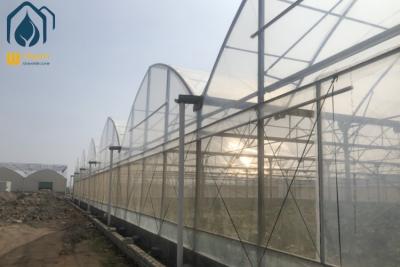 China Multi Span Agriculture Greenhouse For Sustainable Crop Cultivation for sale