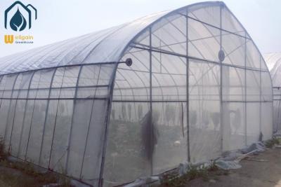 China OEM Invernadero de túnel fácilmente ensamblado Invernadero de cultivo de vegetales pequeños en venta