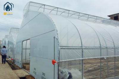 China Commercial Tunnel Flower Vegetable Growing Greenhouse Hot Galvanized Steel Structure for sale