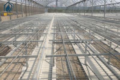 China Agriculture Greenhouse Clone Seed Rolling Bench Grow Tables Welded Mesh Galvanized for sale