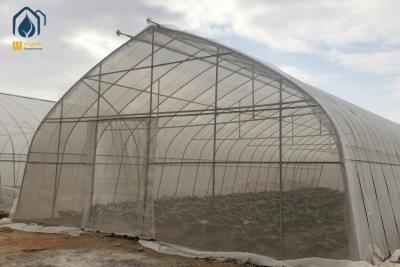 China Oval Tube Film Multi Span Greenhouse Arched Commercial Greenhouse Frame for sale